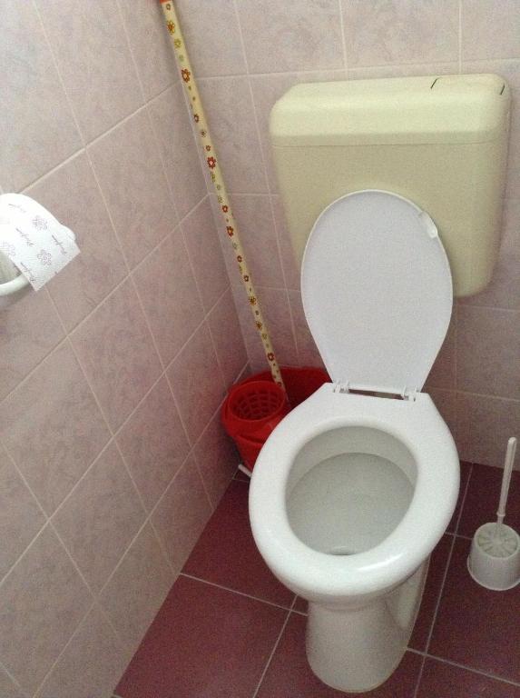 Alom Haz Leilighet Zalakaros Rom bilde